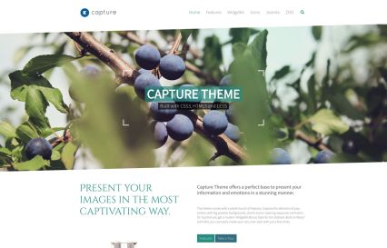 Capture Joomla Template Forest Style