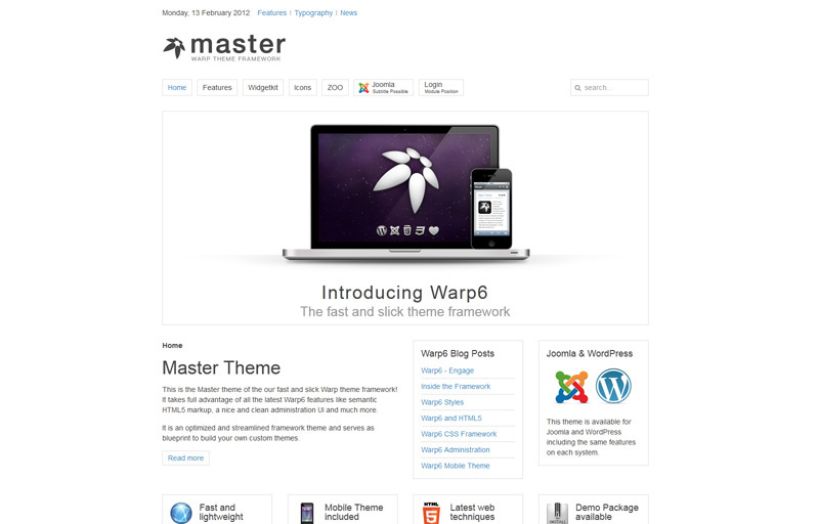 Master WordPress Theme