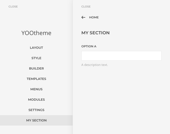 Section in the customizer