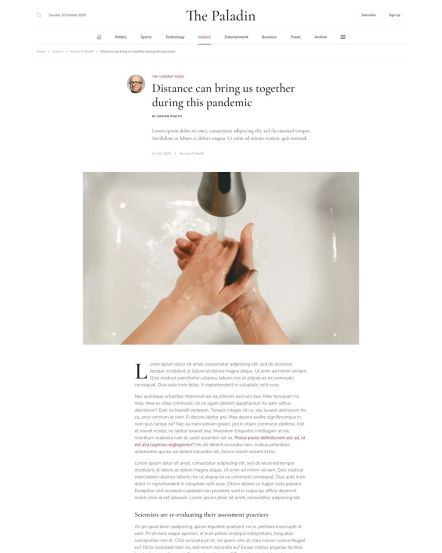 Paladin WordPress theme Post Opinion Layout