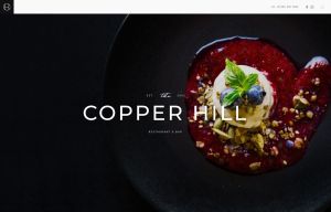 Copper Hill Light-Black Style
