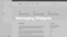 Managing Widgets Documentation Video for WordPress