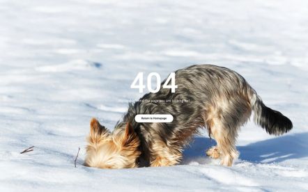 Design Escapes WordPress theme Error 404 Layout