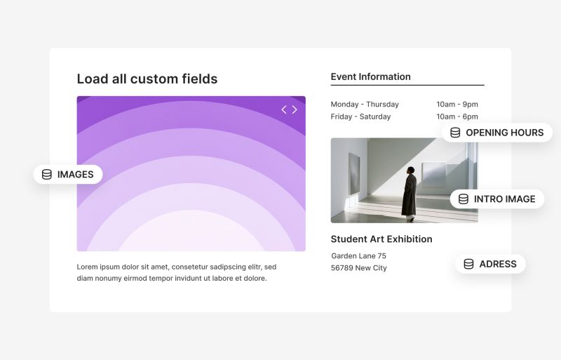 Custom Fields