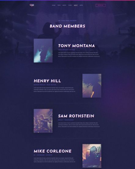 Vibe WordPress theme About Layout