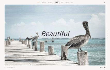 Stage Joomla Template Apricot Style