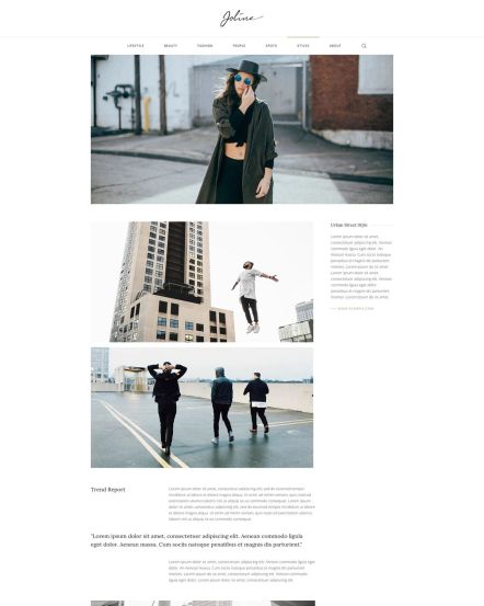 Joline Joomla template Case Study Layout