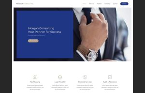 Morgan Consulting Default Style
