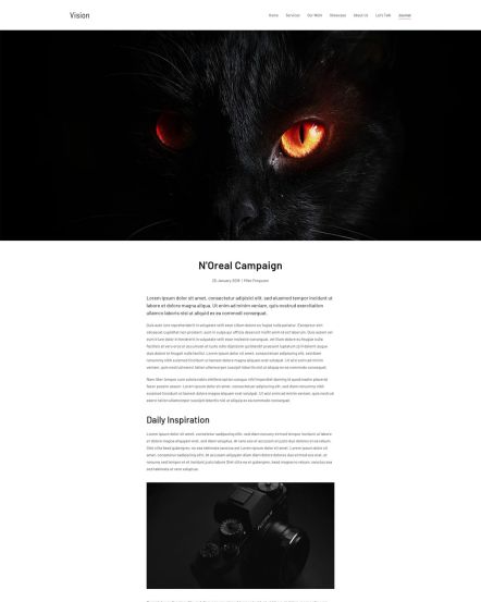 Vision WordPress theme Post Layout