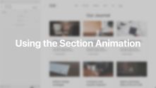 Animation Documentation Video for WordPress