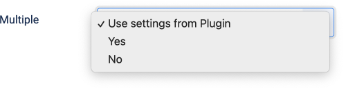 Enable multiple items