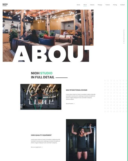 Nioh Studio WordPress theme About Layout