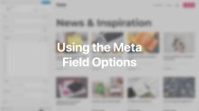 Field Options Meta Documentation Video for WordPress