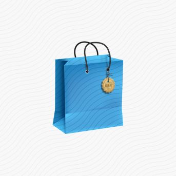Shopping Bag Blue Icon