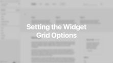 Widget Grid Options Documentation Video for WordPress