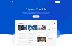 Flow White-Darkblue Style