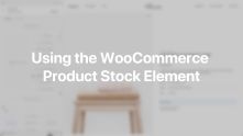 WooCommerce Product Stock Element Documentation Video for WordPress