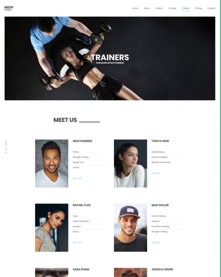 Nioh Studio Joomla template Trainers Index Layout