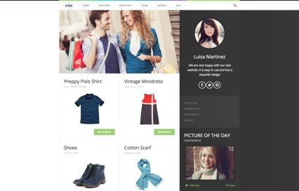 Vida Joomla Template Green Style