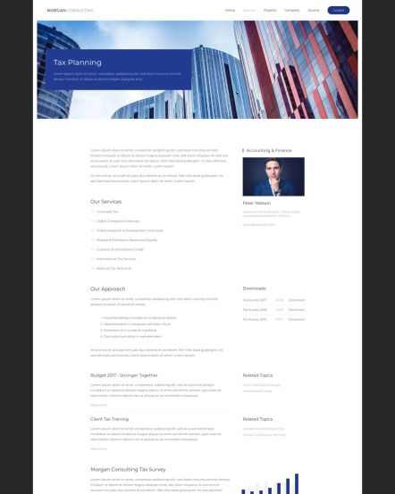 Morgan Consulting WordPress theme Service Post Layout
