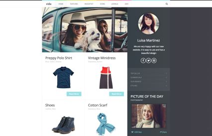 Vida Joomla Template Default Style