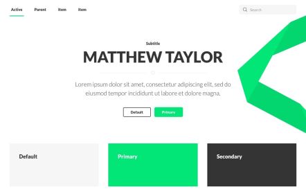 Matthew Taylor Joomla template UI Elements in White Green Style