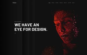 Vision Default Style