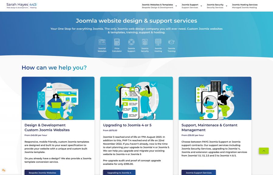 Sarah Hayes 443i Work Example