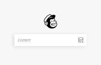 Mailchimp Audience