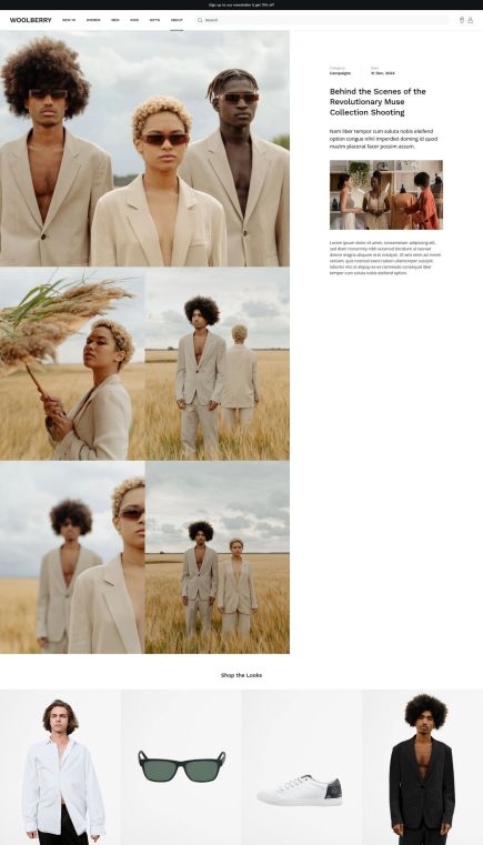 Woolberry WordPress Theme Post Custom Layout