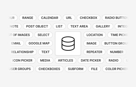 Custom Fields