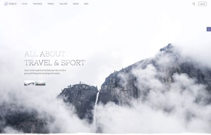 Finch WordPress Theme Snow Style