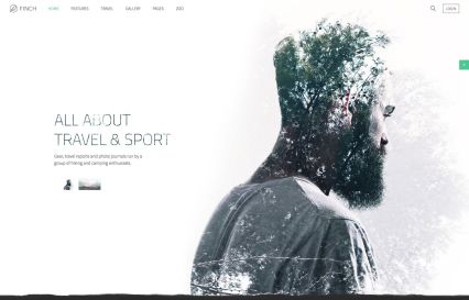 Finch WordPress Theme Default Style