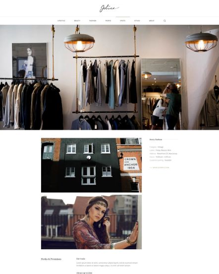 Joline Joomla template Case Study Layout