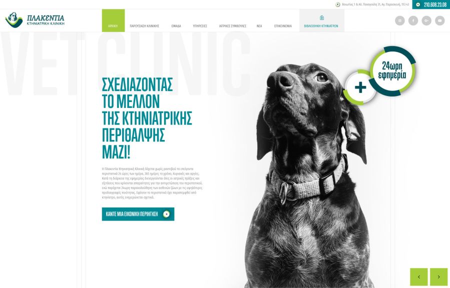 Dual Design Work Example