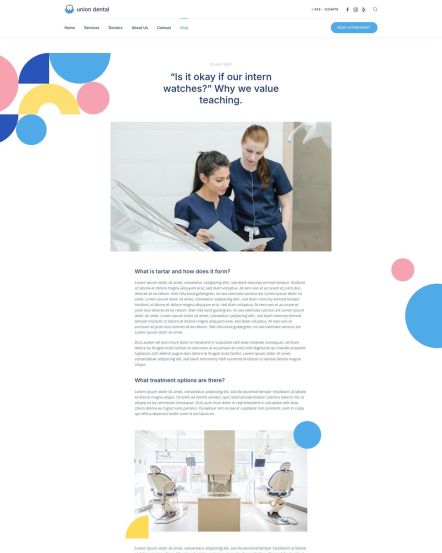 Union Dental WordPress theme Post Layout