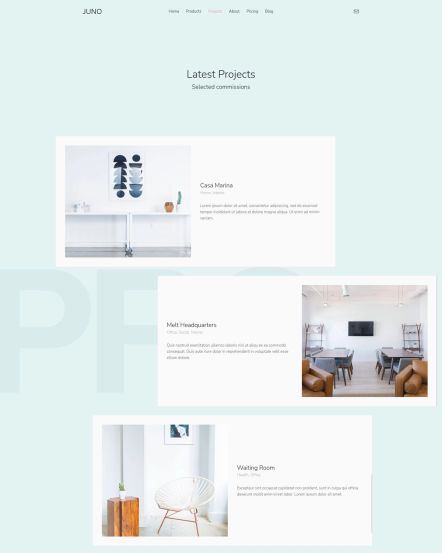 Juno Joomla template Portfolio Layout