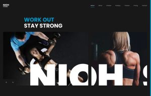 Nioh Studio Black-Blue Style