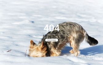 Error 404 Layout