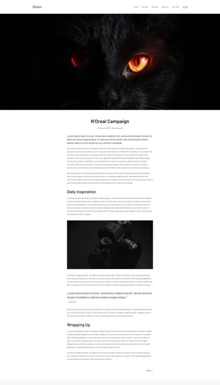 Vision WordPress Theme Post Layout