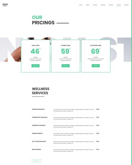 Nioh Studio WordPress theme Pricing Layout