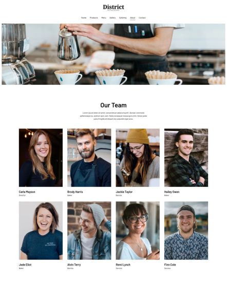 District Joomla template Team Layout