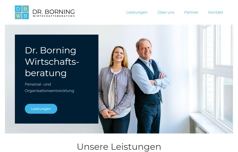 VIVOMEDIA Work Example