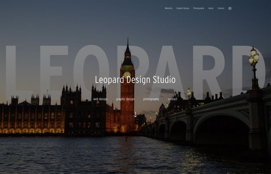 Leopard Design Studio Work Example