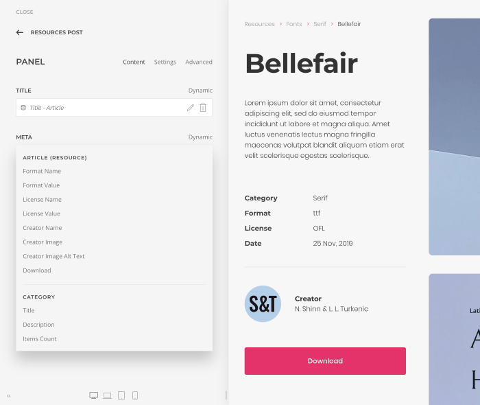 Custom Fields