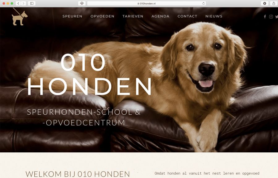 NetTactics Work Example