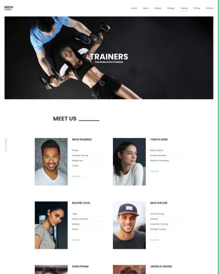 Nioh Studio WordPress theme Trainers Index Layout