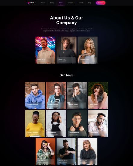 Circle WordPress theme About Layout
