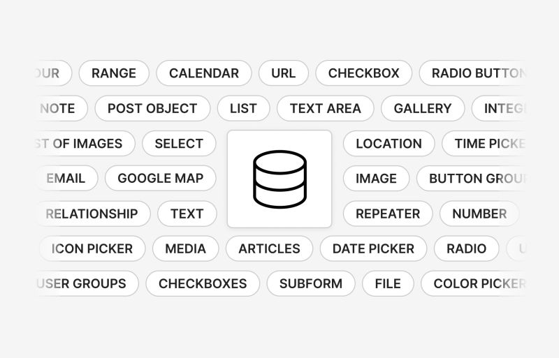 Custom Fields