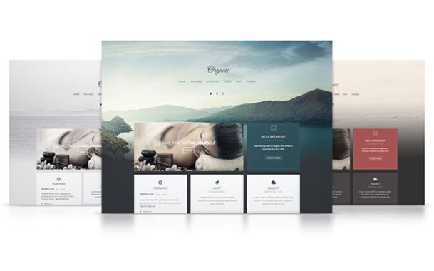 Organic Theme – September 2014 YOOtheme club theme